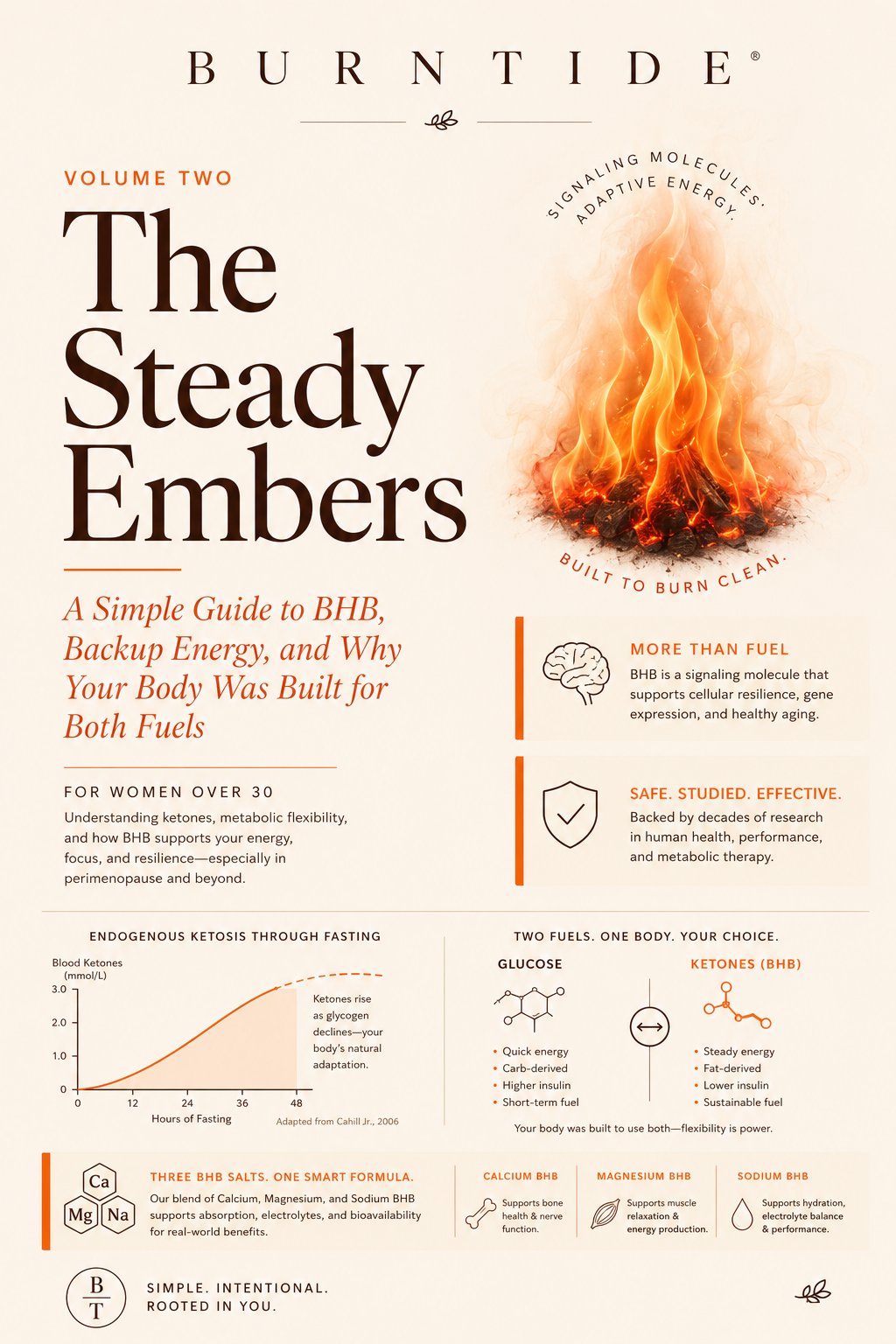 Burntide free bonus guide Volume Two: The Steady Embers, a guide to BHB and backup energy